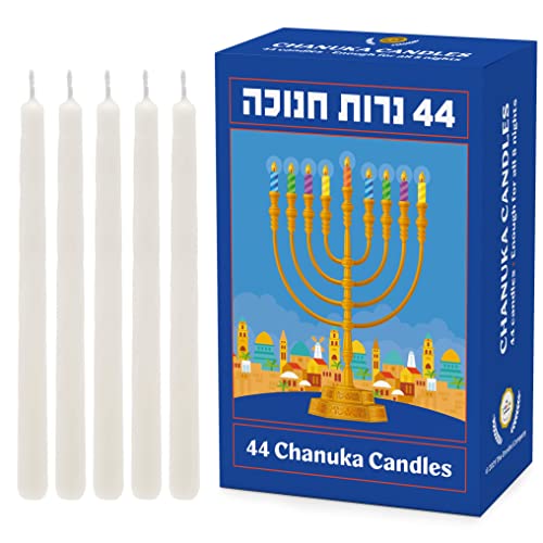 TDC-CC-MENWH-5
